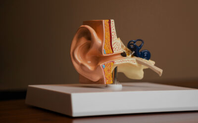 Hearing Care and Hearing Aid Brands – Ashclinic